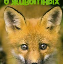 Моя любимая книга о животных. Энциклопедия. 978-5-389-19816-6