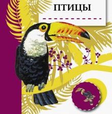 Познавательные наклейки. Птицы   978-5-9951-3956-0