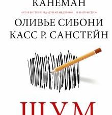 Шум. Несовершенство человеческих суждений   Канеман Д  978-5-17-146374-8