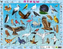 Птицы России. Детский пазл на подложке(36х28 см, 63 эл.)   978-5-89485-608-7