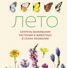 НовНатур. Хайнрих Б. Лето. Секреты выживания растений и животных в сезон изобил 978-5-389-17321-7