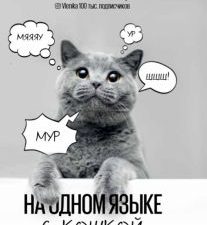 На одном языке с кошкой  Клюсовец Е.В.  978-5-17-136699-5