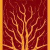 М-ль.Зусак М.  Книжный вор   978-5-04-098836-5