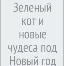 НН.Зеленый кот и новые чудеса под Новый год Щербакова Н.  978-5-907501-23-2