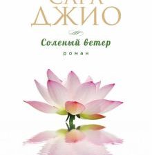 Соленый ветер. Зарубежный романт.бестселлер. Романы С.Джио(обл). 978-5-699-96951-7. 2022