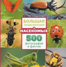Большая энциклопедия о насекомых. 500 фотографий и фактов. Большая энциклопедия обо всем на свете. 9