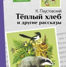 Внек.Чтение. Теплый хлеб. и другие рассказы. К. Паустовский   978-5-9951-5073-2