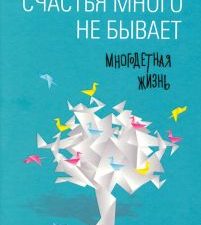 Счастья много не бывает. Многодетная жизнь. 978-5-485-00558-0. 2017