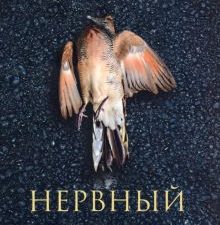 Нервный срыв. 978-5-00131-262-8. 2020