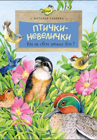 НН.Птички-невелички. Кто на свете меньше всех?  Н. Габеева