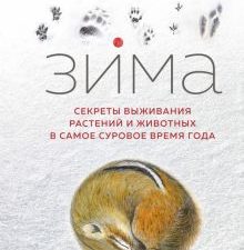 НовНатур. Хайнрих Б. Зима. Секреты выживания растений и животных в самое суровое время года