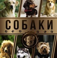 Большая энциклопедия. Собаки. Большая энциклопедия увлечений. 978-5-17-132611-1. 2020