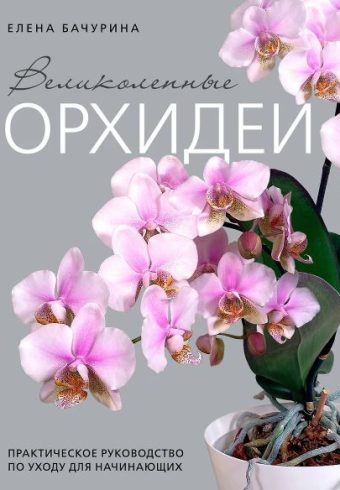Бачурина Е.В. Великолепные орхидеи. Практичное руководство по уходу для начинающих