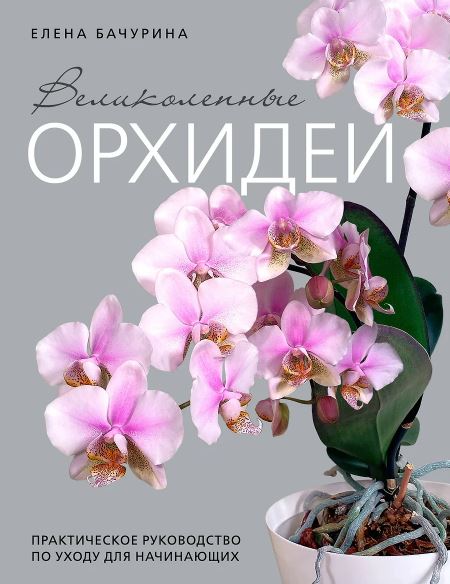 Бачурина Е.В. Великолепные орхидеи. Практичное руководство по уходу для начинающих