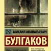 ЭК.Булгаков М.А. Дни Турбиных  978-5-17-122826-2