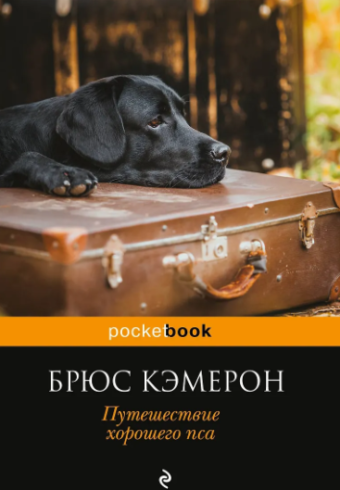 Без имени