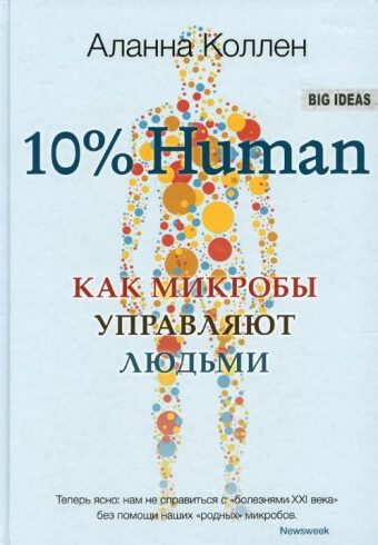 Без имени