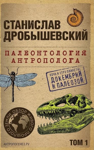 Без имени