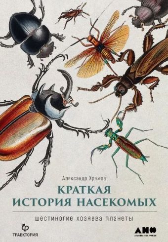 Без имени