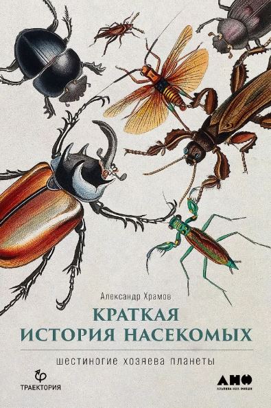Без имени