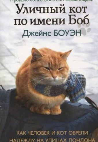 Без имени