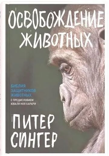 Без имени