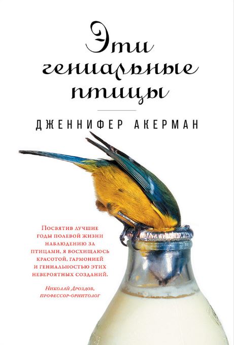 Без имени