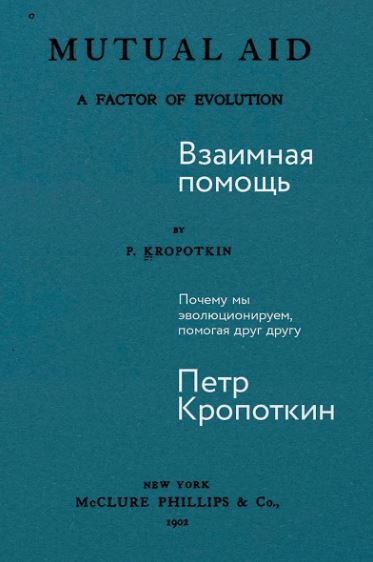 Без имени