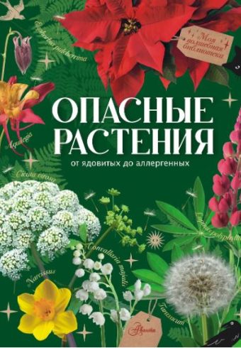 Без имени