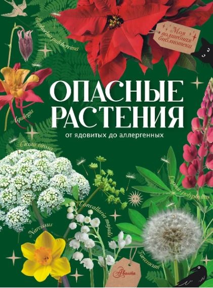 Без имени
