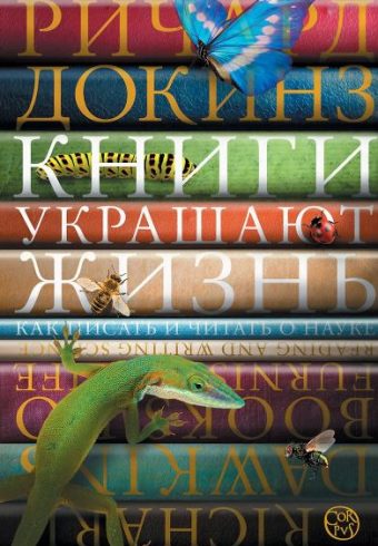 Без имени
