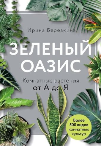 Без имени