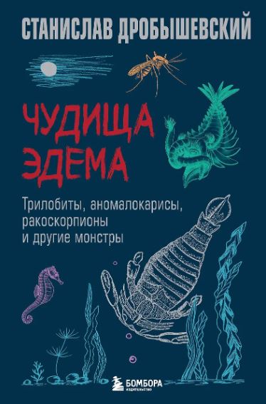 Без имени