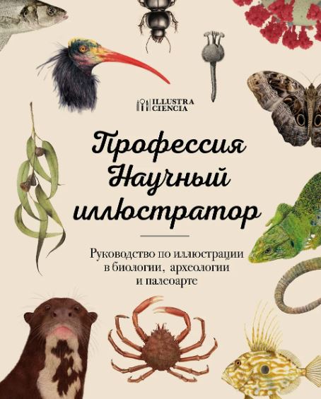 Без имени