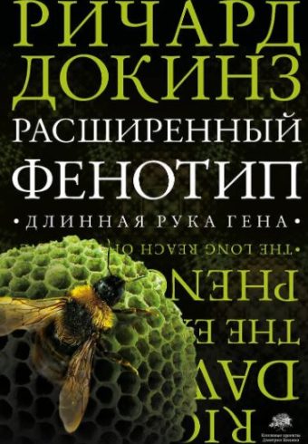 Без имени