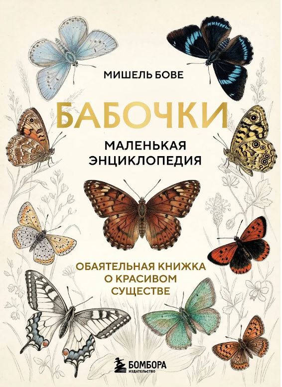 Бабочки! Маленькая энциклопедия. Обаятельная книжка о красивом существе